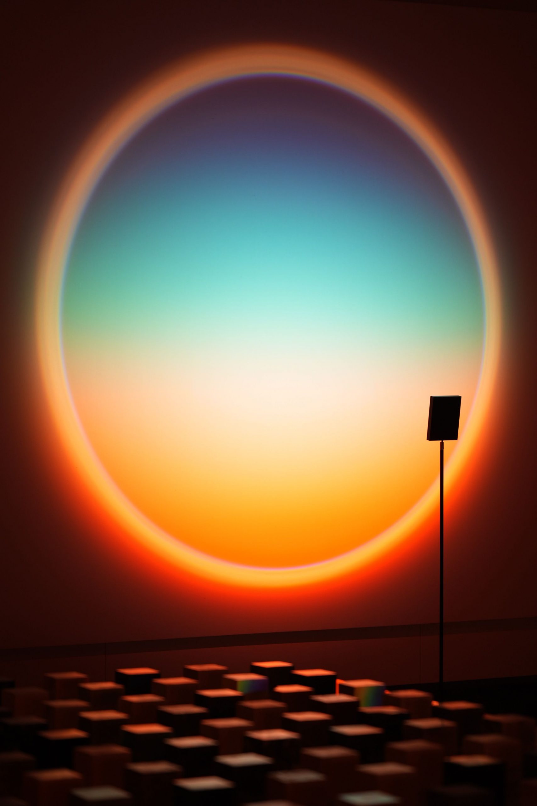 Natural Light｜P Projects x Halo Edition